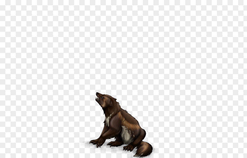 Wolverine Animal Mammal Wildlife PNG