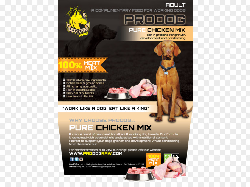 Chicken Raw Foodism Feeding Dog Nutrition Eating PNG