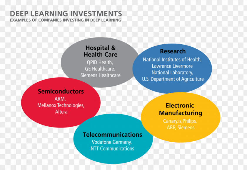 Examples Of Secondary Consumers Deep Learning Industry Investment Economy PNG