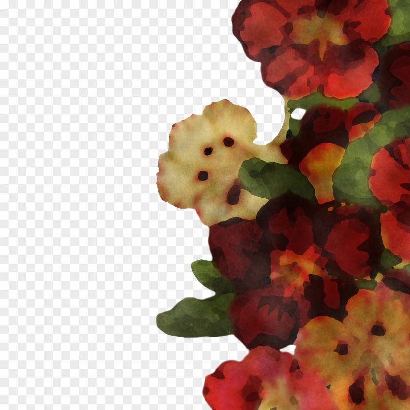 Floral Design PNG