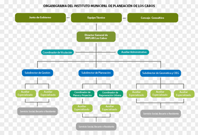 Los Cabos Municipality IMPLAN Cabo San Lucas Organizational Chart Local Government PNG