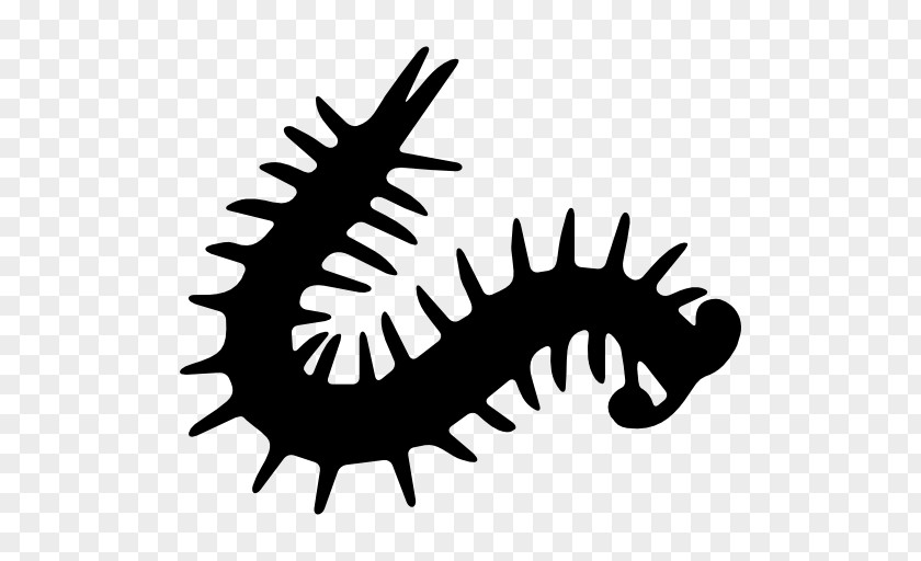 Millipedes Centipedes Clip Art PNG