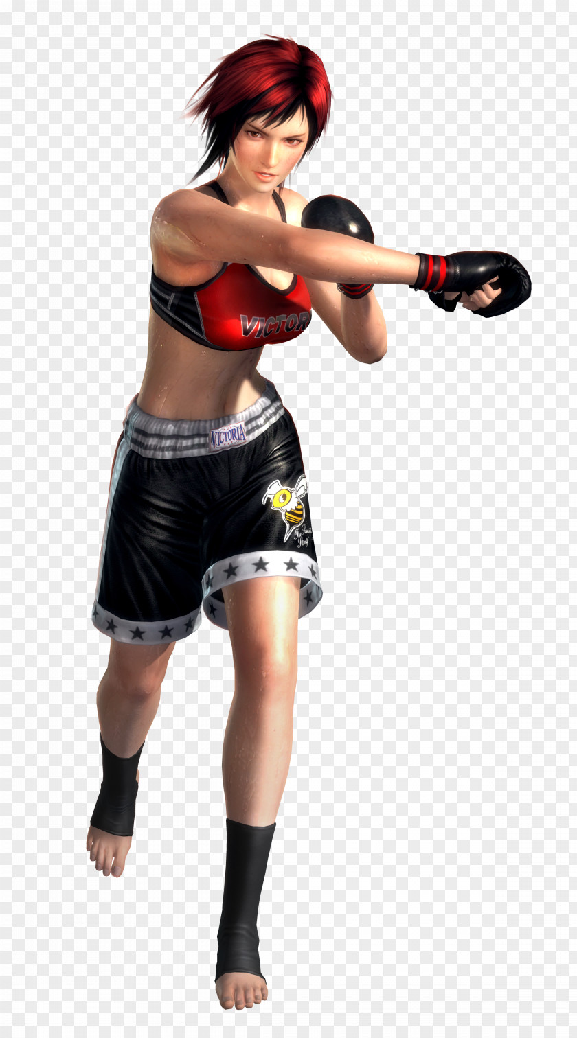 Mixed Martial Artist Dead Or Alive 5 Last Round Ultimate Video Game PNG