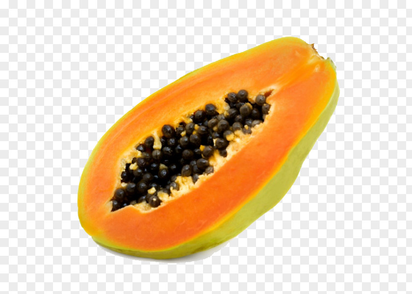 Tropical Fruit Papaya Stock Photography Clip Art PNG