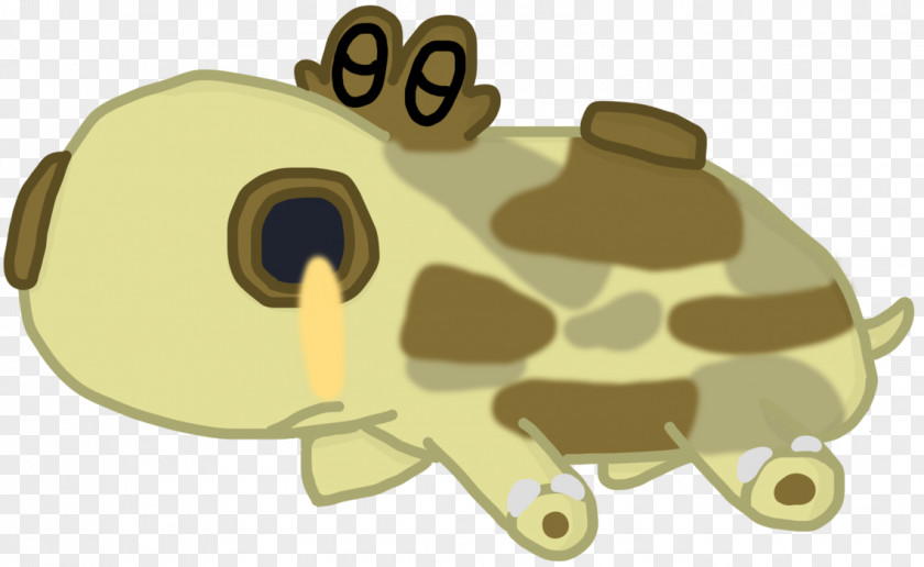 Turtle Tortoise Horse Frog PNG