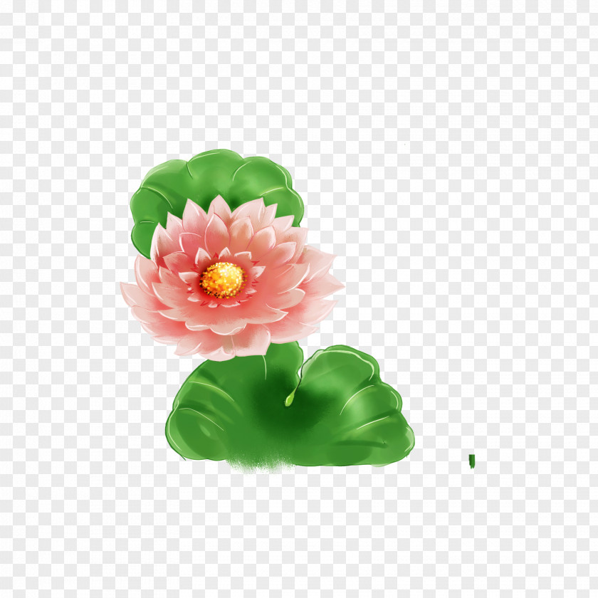 Cartoon Painted Lotus PNG