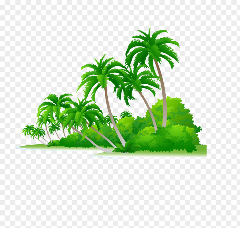 Forest Arecaceae Shrub Illustration PNG