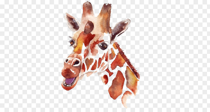 Hand-painted Giraffe Illustration Northern Watercolor Painting Drawing PNG