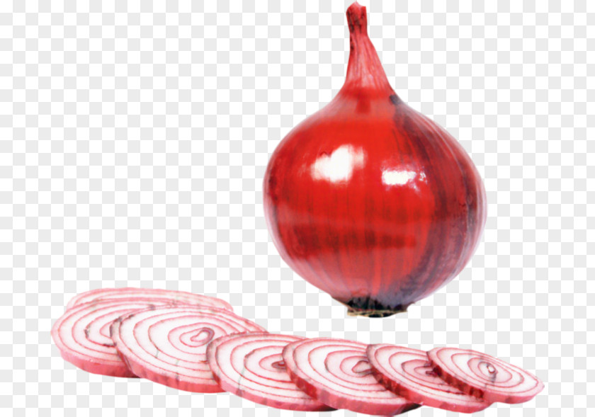 Adobe Photoshop Red RGB Color Model Onion PNG