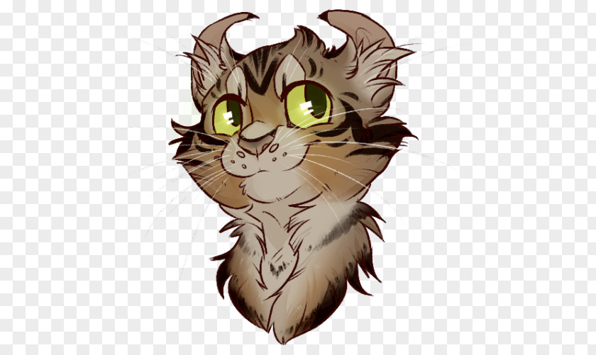 Kitten Whiskers Wildcat Tabby Cat PNG