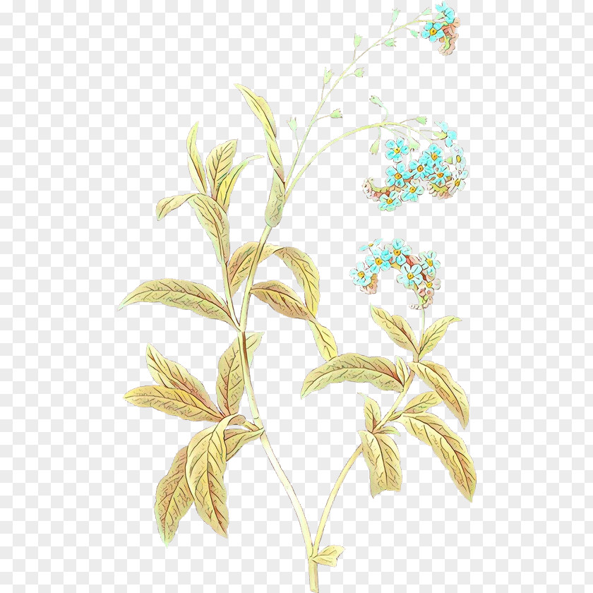 Pedicel Plant Stem Watercolor Flower Background PNG