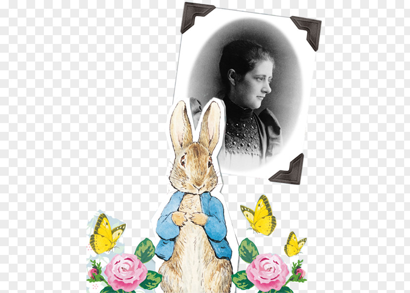 Rabbit Peter Domestic The Tale Of Beatrix Potter World And Friends PNG