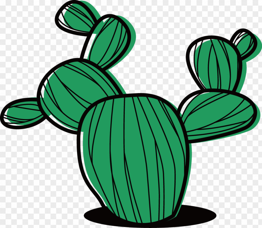 Vector Painted Cactus Cactaceae Succulent Plant Cartoon Clip Art PNG