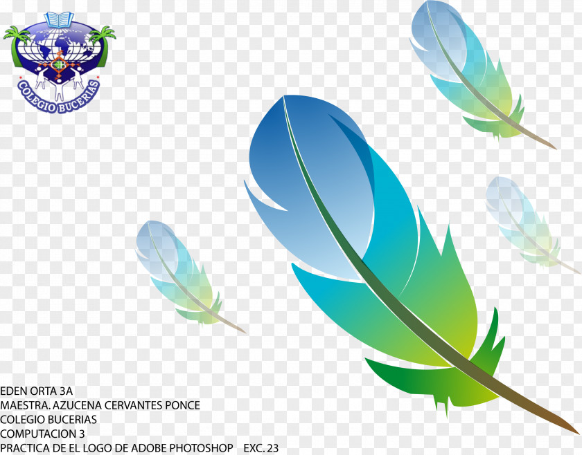 Boho Arrow Feather Pen Logo PNG