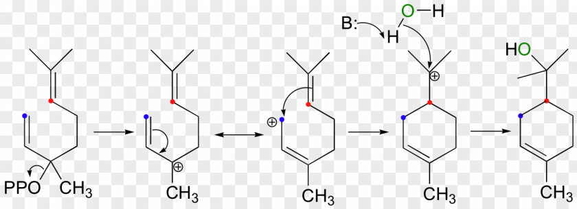 Chemistry Illustration Line Diagram PNG