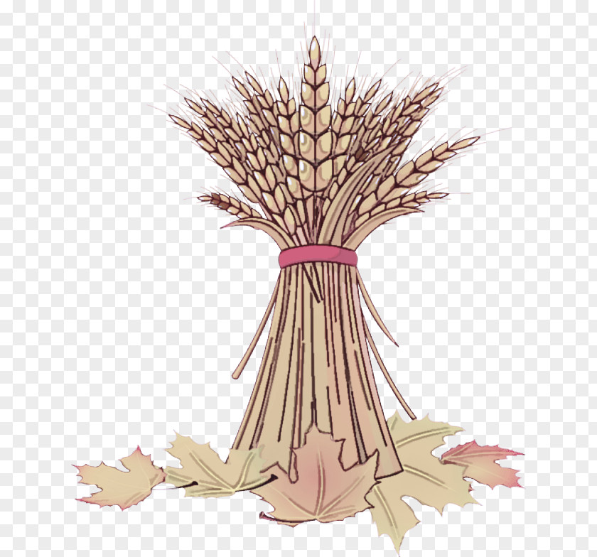 Flower Root Tree Plant Grass Family Leaf Woody PNG