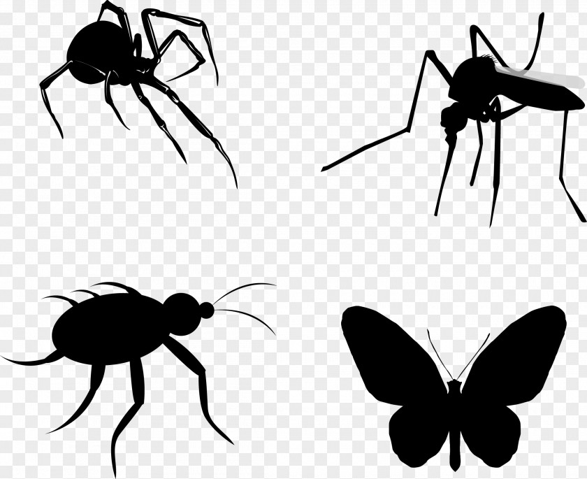 Insect Silhouettes Silhouette Butterfly Euclidean Vector PNG