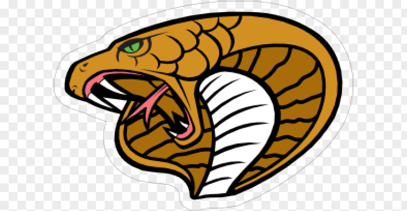 Sticker Mascot Snakes PNG