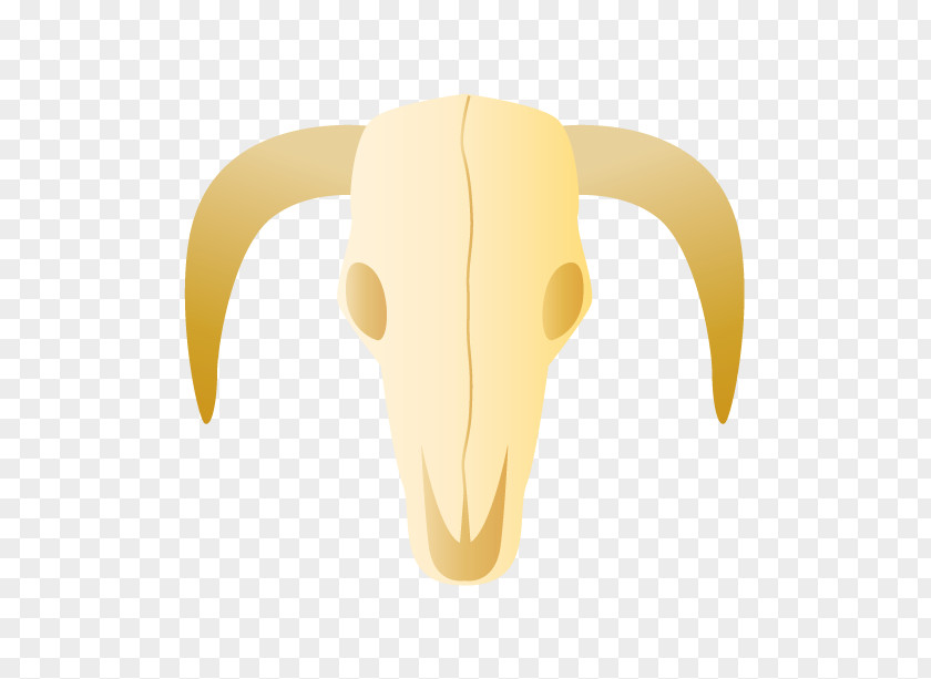 Bull Cattle Horn Clip Art PNG