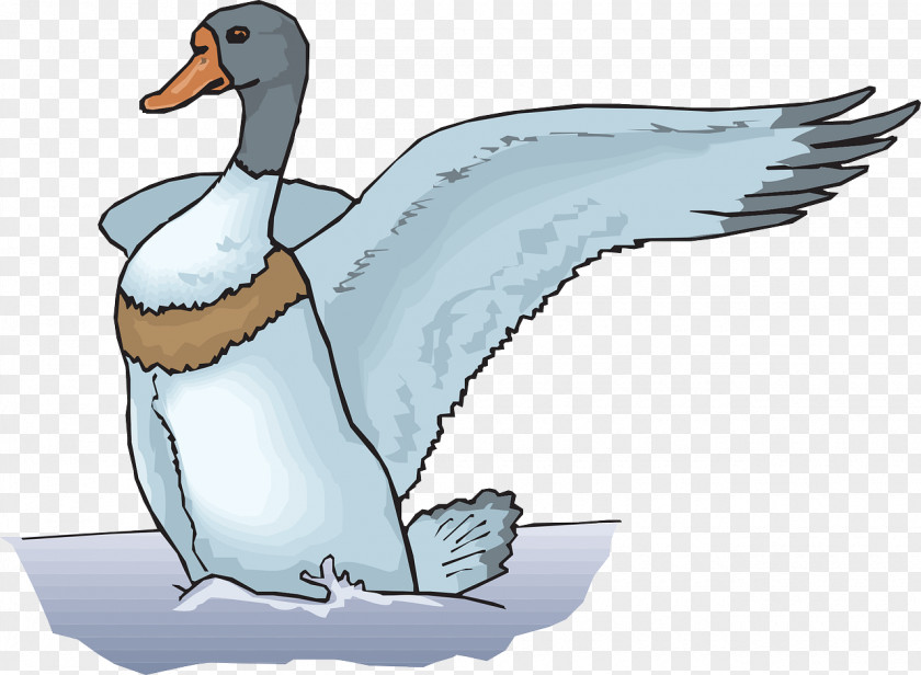 Duck The Ugly Duckling Goose Clip Art PNG