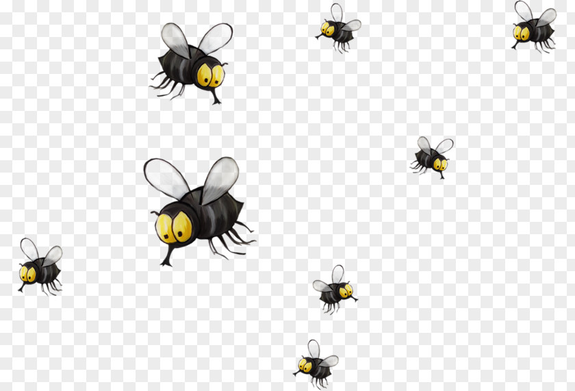 Painted Black Flies Honey Bee Paper Wallpaper PNG