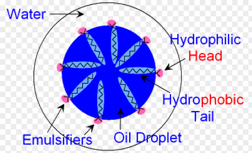 Science Emulsifier Emulsion Molecule Chemistry PNG