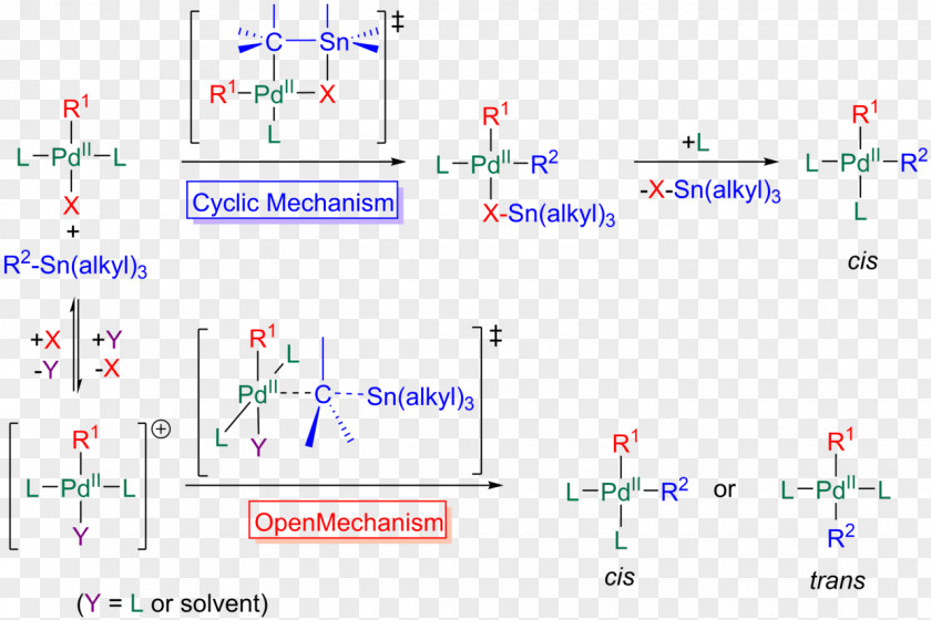 The Stille Reaction Transmetalation Mechanism Chemical PNG
