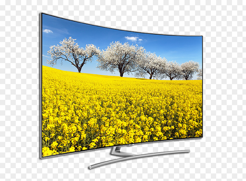 Cashback Canola Photography Landscape Television PNG