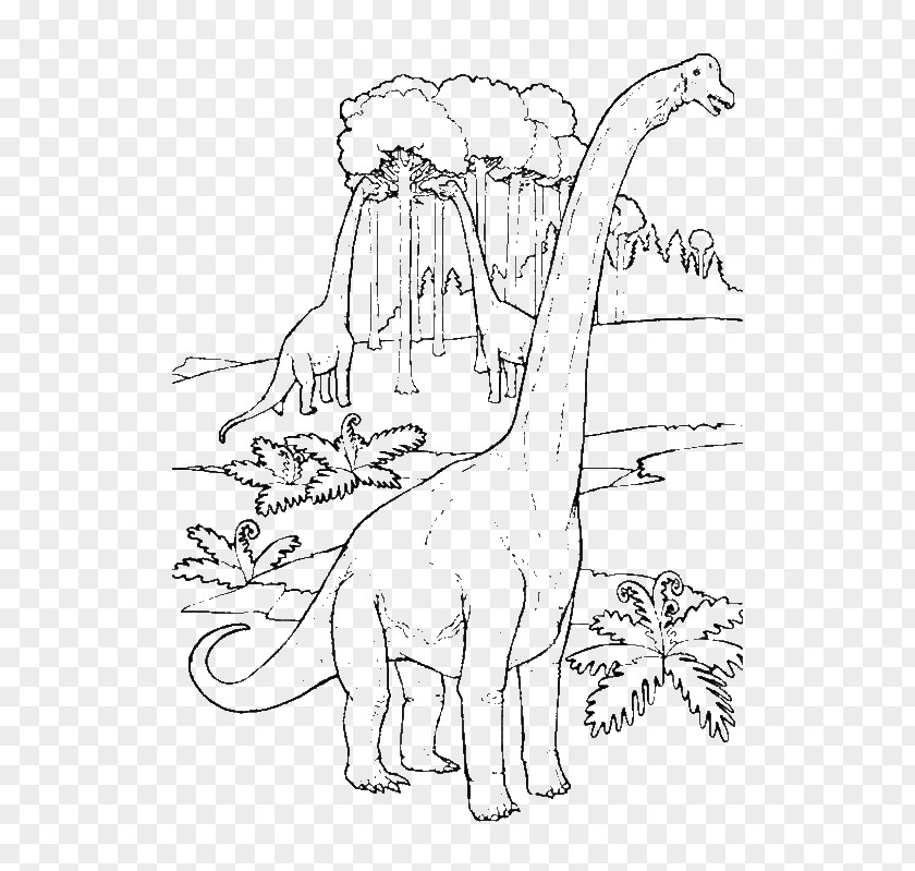 Dinosaur Brachiosaurus Apatosaurus Colouring Pages Coloring Book Compsognathus PNG