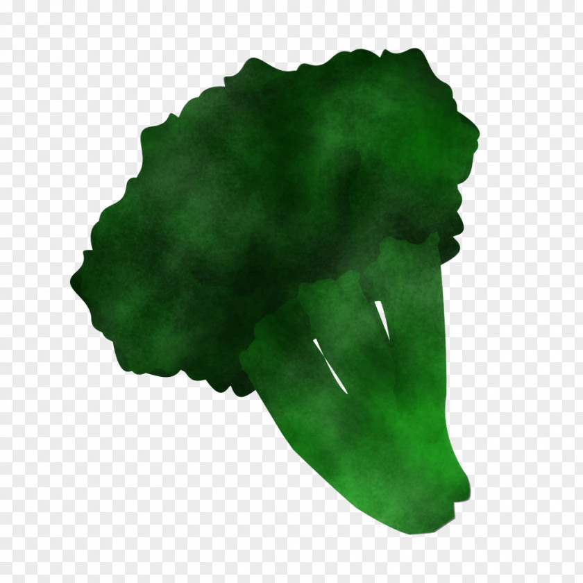 Green Leaf Logo Emerald Animation PNG