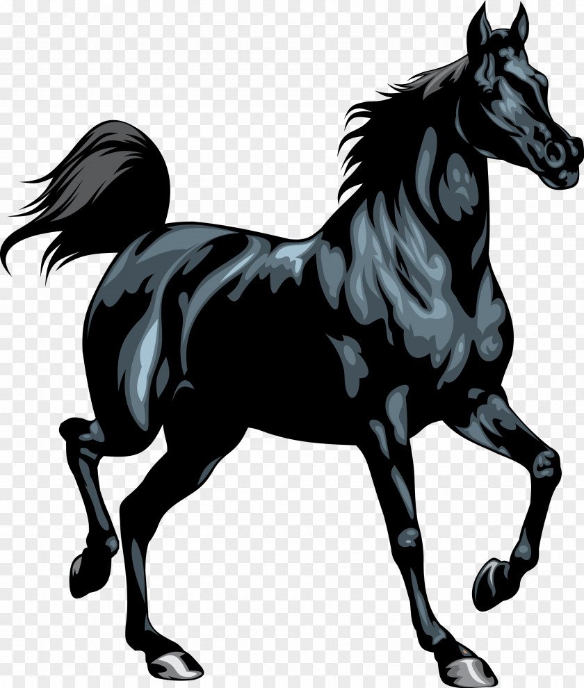Horseshoe Friesian Horse Stallion Black Clip Art PNG