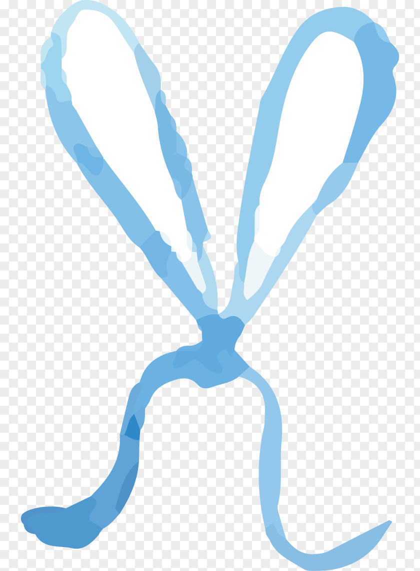 Watercolor Blue Bow PNG