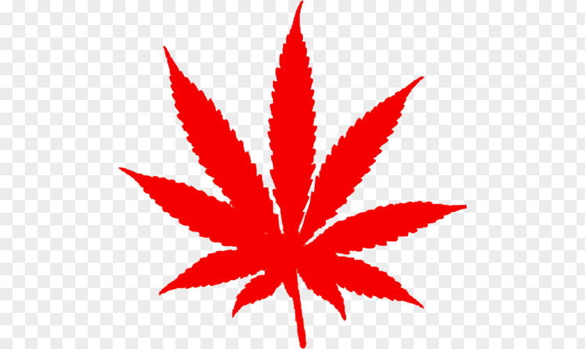 Cannabis Medical Marijuana Legalization Legality Of PNG