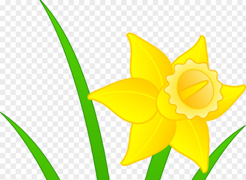 Daffodil I Wandered Lonely As A Cloud Clip Art PNG