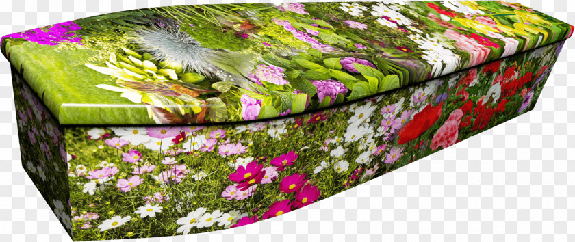 Funeral Colourful Coffins Floral Design Keyword Tool PNG
