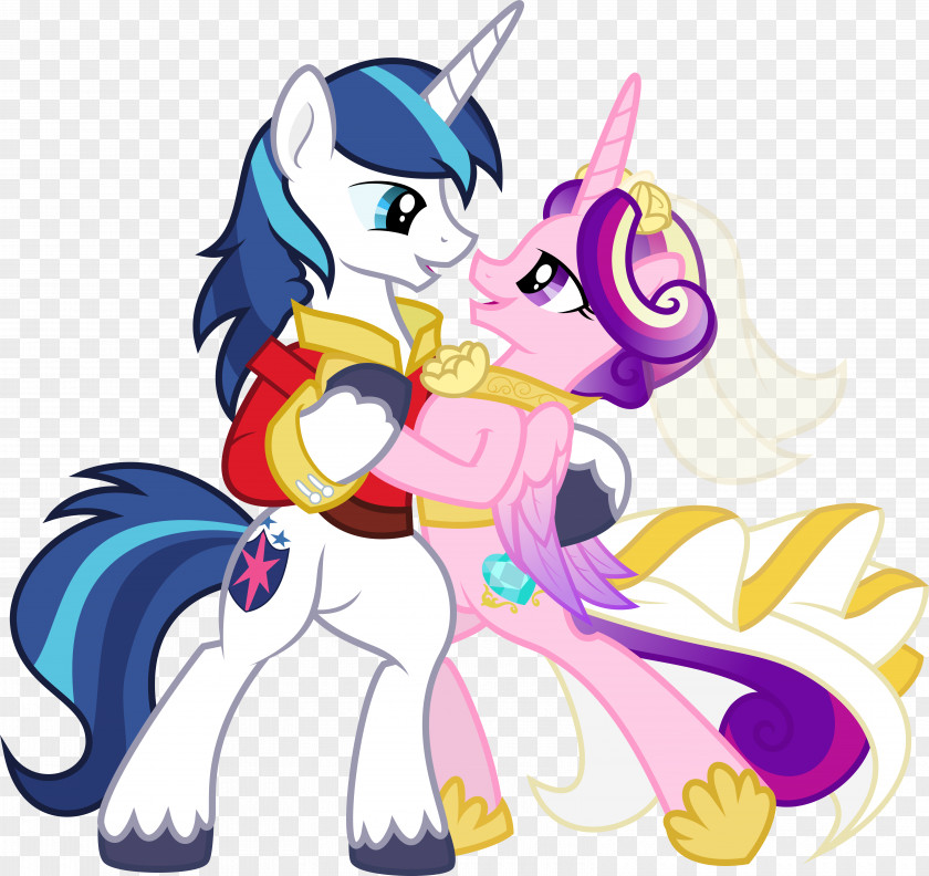 Horse Pony Rainbow Dash Rarity Wedding PNG