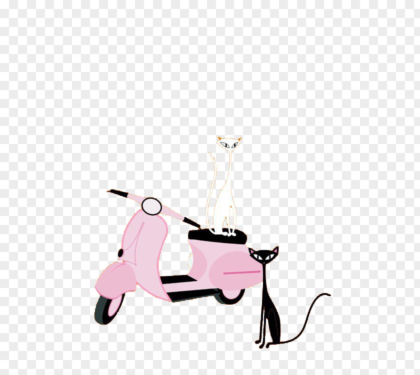 Motorcycles And Cats Cat Motorcycle PNG