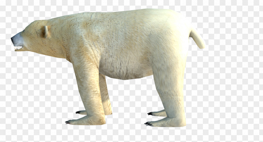 Polar Bear Low Poly Animal 3D Computer Graphics PNG