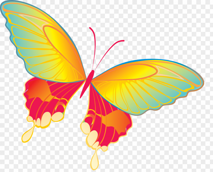 Red Butterfly Download Clip Art PNG
