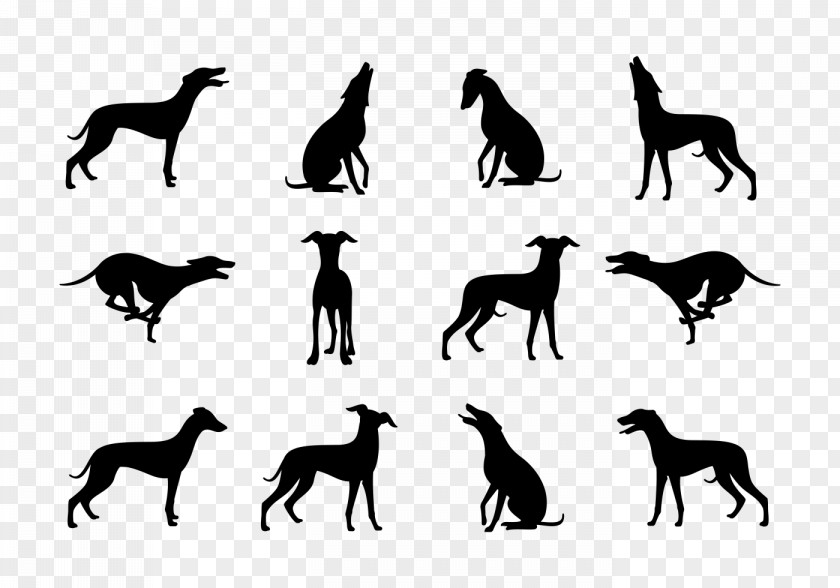 Silhouette Whippet Greyhound Dog Breed PNG