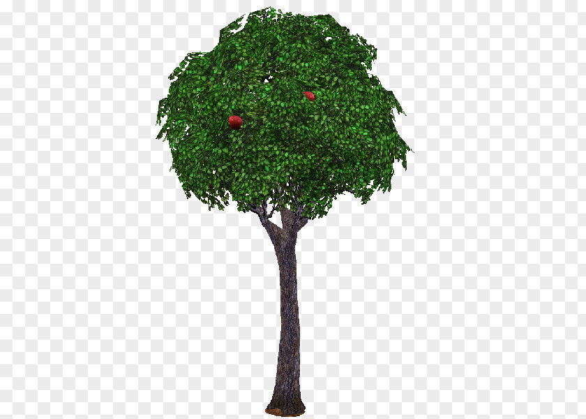 Tree The Sims 3 Branch Garden 4 PNG