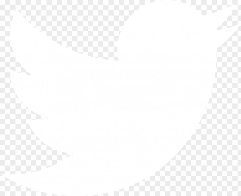 Twitter PNG clipart PNG