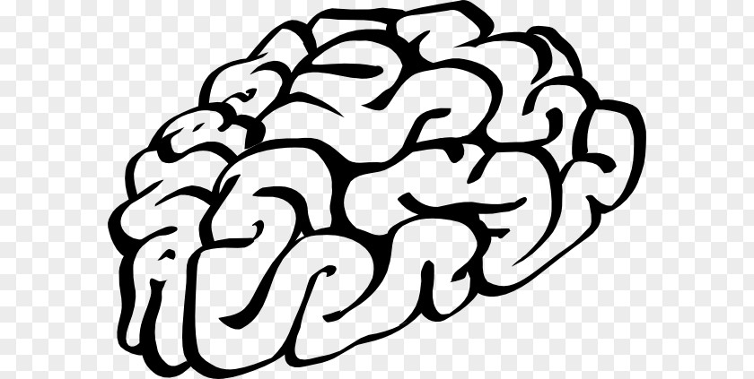 Brain Drawing Cliparts Cartoon Clip Art PNG