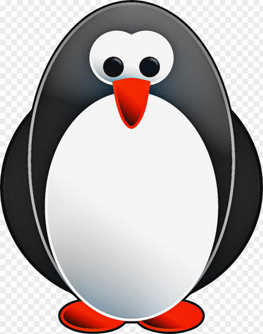 Puffin Emperor Penguin Cartoon Bird PNG