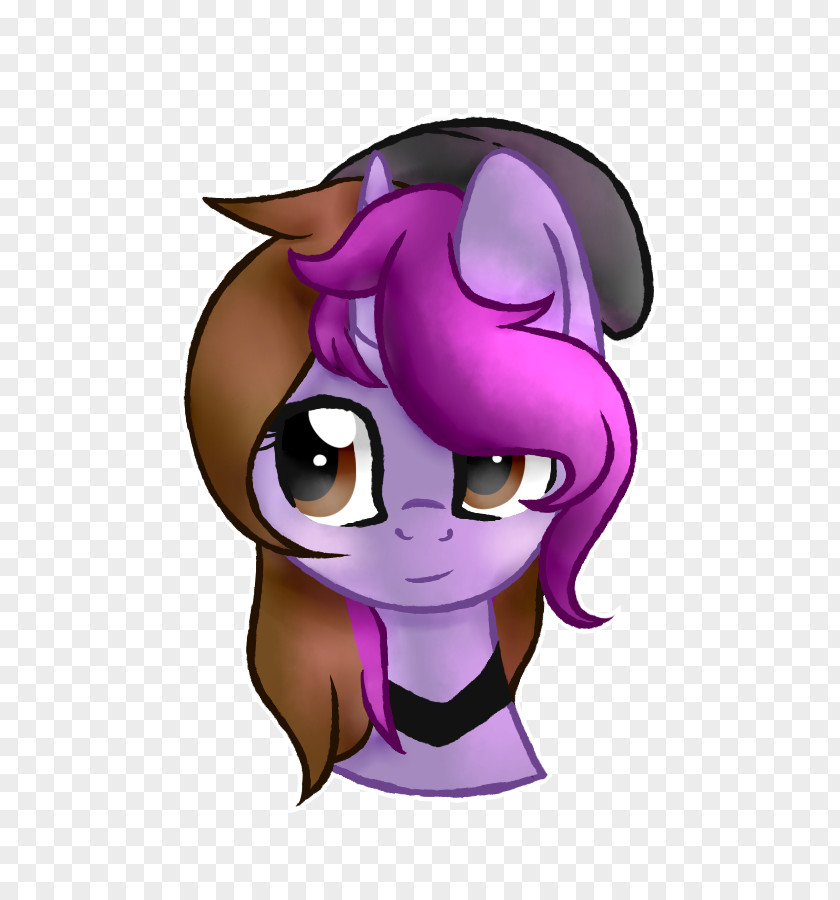 Symphony Horse Pony Mammal Animal PNG