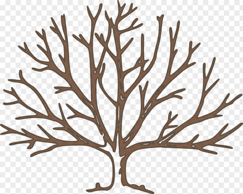 Winter Trees Tree Free Content Clip Art PNG