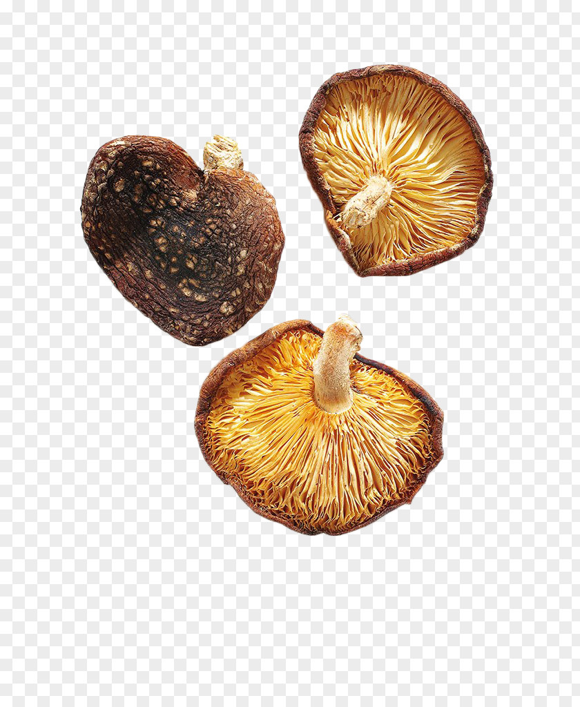 Yellow Dry Mushrooms Shiitake Edible Mushroom PNG