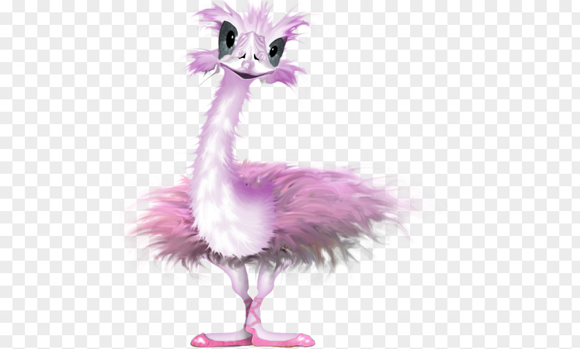 Bird Common Ostrich Cartoon Feather Animated Film PNG