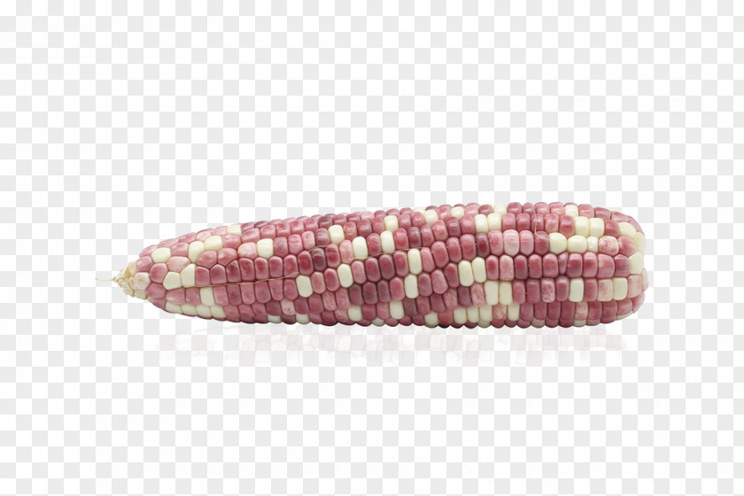 Corn Maize Purple PNG