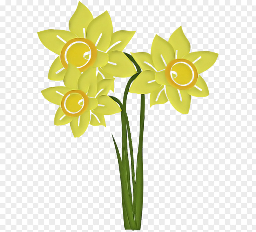Flower Yellow Narcissus Plant Cut Flowers PNG
